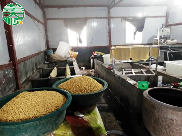 駐馬店平輿客戶豆腐皮生產(chǎn)現(xiàn)場